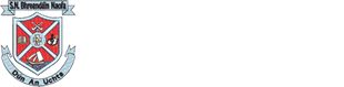 Welcome to Scoil Bhride National School